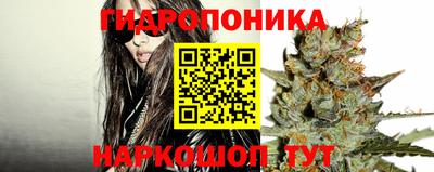 метадон Новозыбков