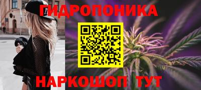 метадон Новозыбков