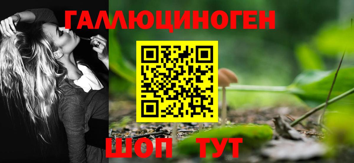 Скопин  Галлюциногенные грибы Psilocybine cubensis  Вход с VPN 